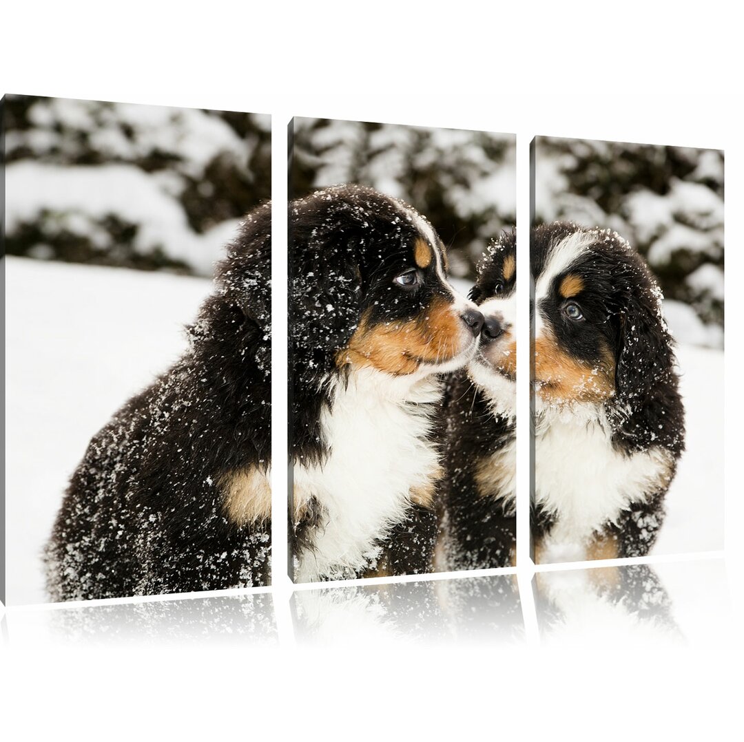 3-tlg. Leinwandbilder-Set „Bernersennen Hunde Welpen im Schnee“, Fotodruck 