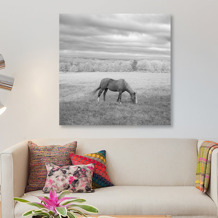 « solitaire », photographie sur toile, H 12 po x l 12 po x P 0,75 po, Pas de tapis, Toile tendue
