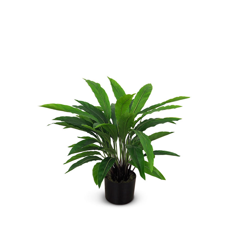 Faux calathea botanique au fini vert, H 22 po x l 23 po x P 23 po