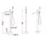 Robinet de baignoire autoportant 304 à fixation au sol en acier inoxydable 304 avec douche à main-136263084
