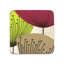 Dandelion Clocks Coasters