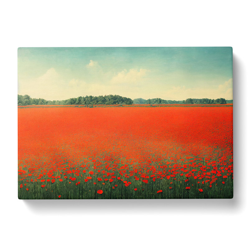 Splendid Poppy Field Flowers - Wrapped Canvas, 50cm H x 76cm W x 3cm D