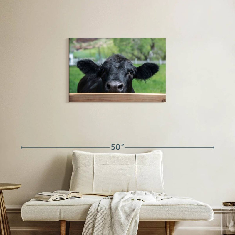Brampt Nosy Ranch Cow, 20" H x 30" W