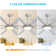 Osaze Ceiling Fan with LED Lights