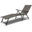 Ensemble de chaises longues Hudsonville