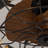 20.4" Bloneva Farmhouse Caged Ceiling Fan with Light Kit and Remote Control Included-1624741309