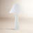 Ceramic Table Lamp-1646348473