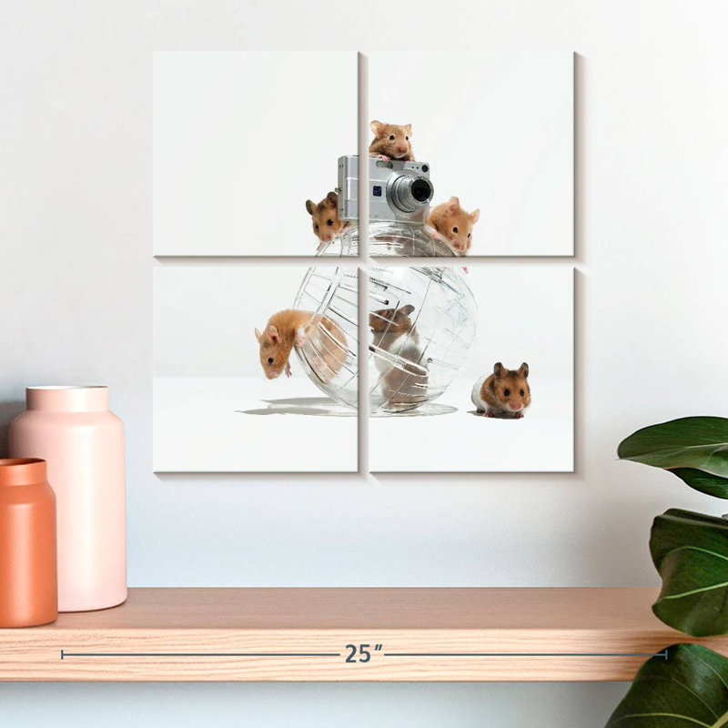 Brampt image de hamster parfait, H 18 po x l 18 po