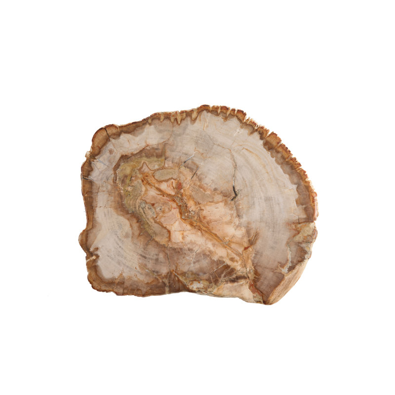 Petrified Slice Cheese Board & Platter, 10" W