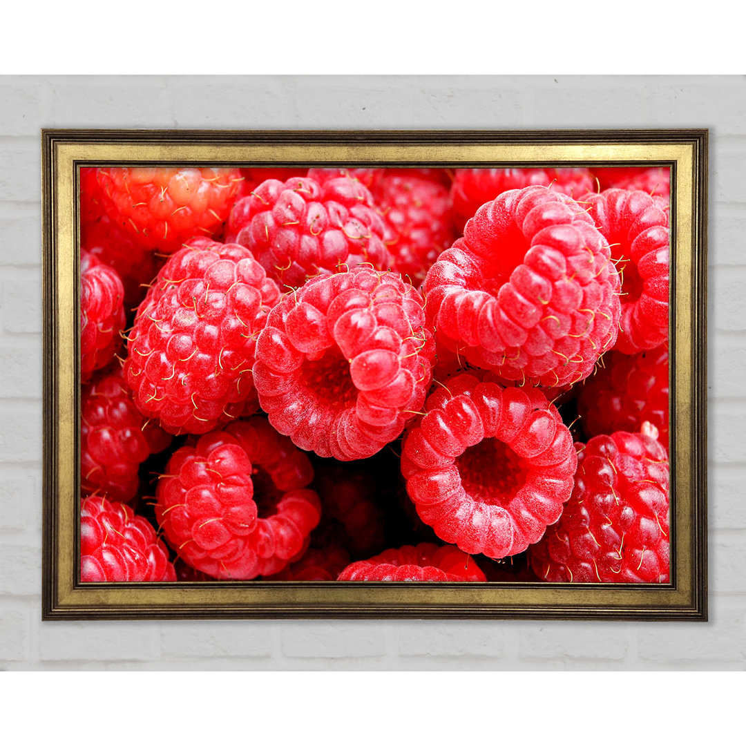 Raspberry Delight - Einzelne Bilderrahmen Kunstdrucke