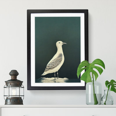 Seagull Portrait Vol.1 - Single Picture Frame Print
