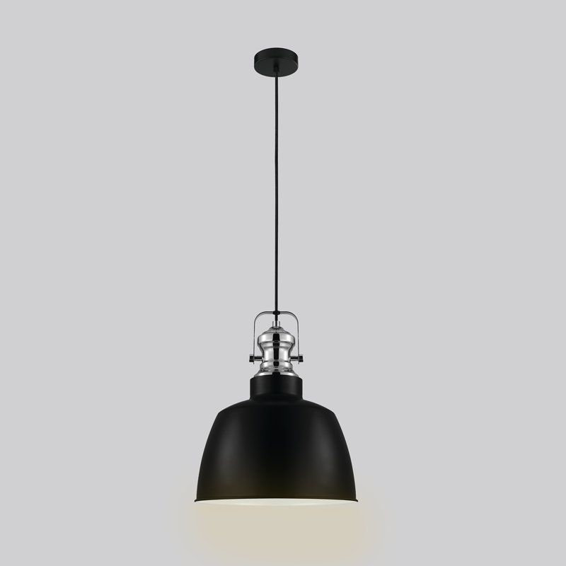 Luminaire suspendu en forme de dôme à 1 lumière Ziegler, Noir mat