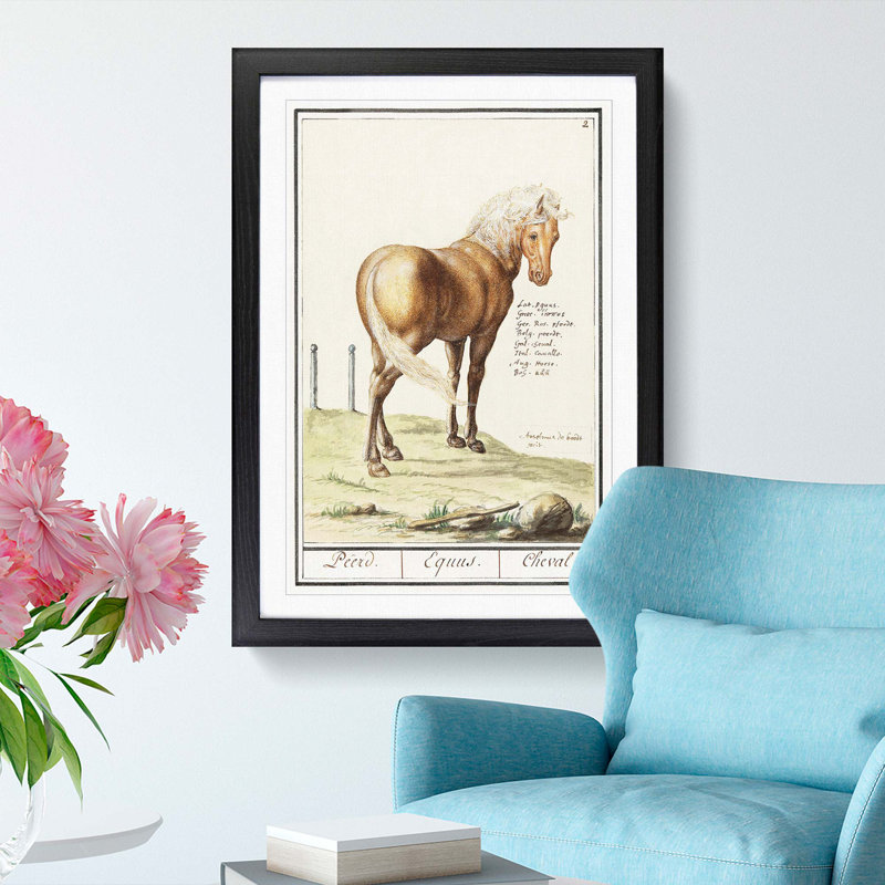 Horse by A.B. de Boodt - Picture Frame Painting Print, 65cm H x 48cm W x 2cm D, Black Framed