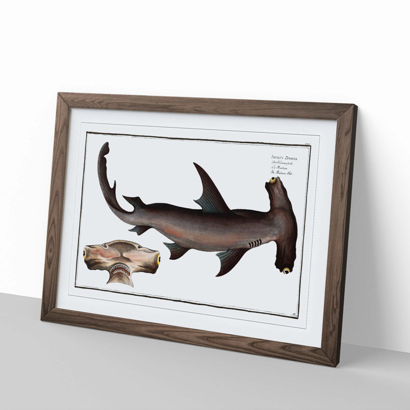 Hammerhead Shark by M.E. Bloch - Picture Frame Painting Print, 27cm H x 36cm W x 2cm D, Walnut Framed