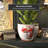 Beasley Handmade Ceramic Cachepot-99053100