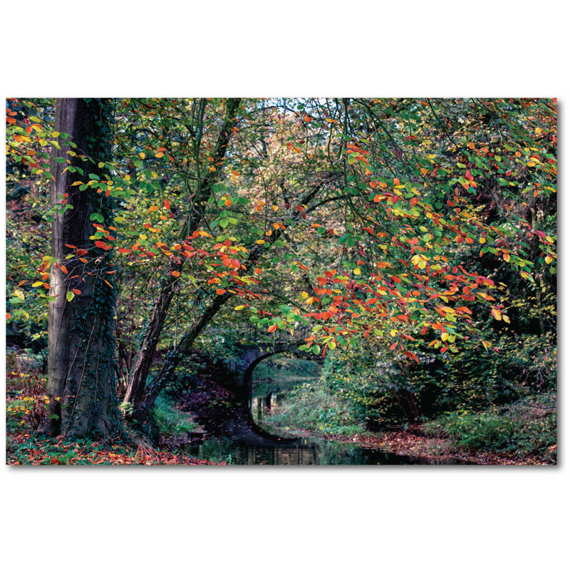 Hêtre et pont-reproduction de photo sur toile