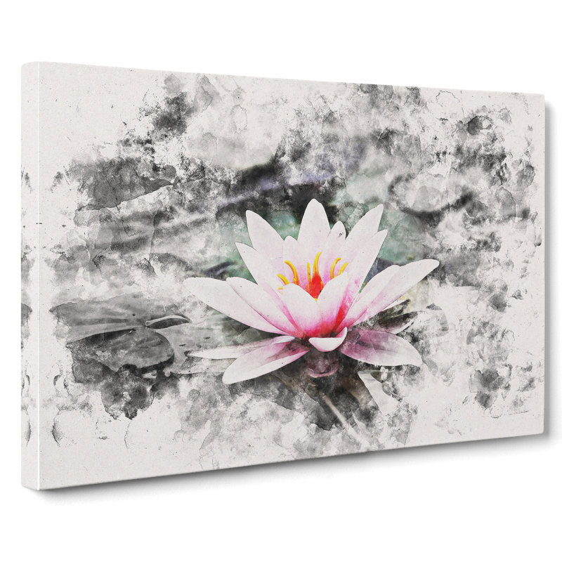 A Pale Pink Water Lily - Wrapped Canvas Print, 60cm H x 91cm W x 3cm D