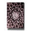 «Just Open» par Photoinc Studio, art mural sur toile, 18 po x 26 po-163074766