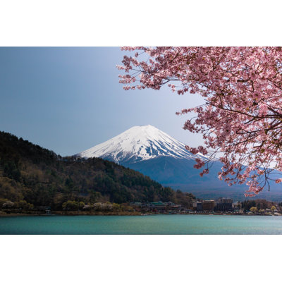 " Mt,Fuji With Cherry Blossoms "