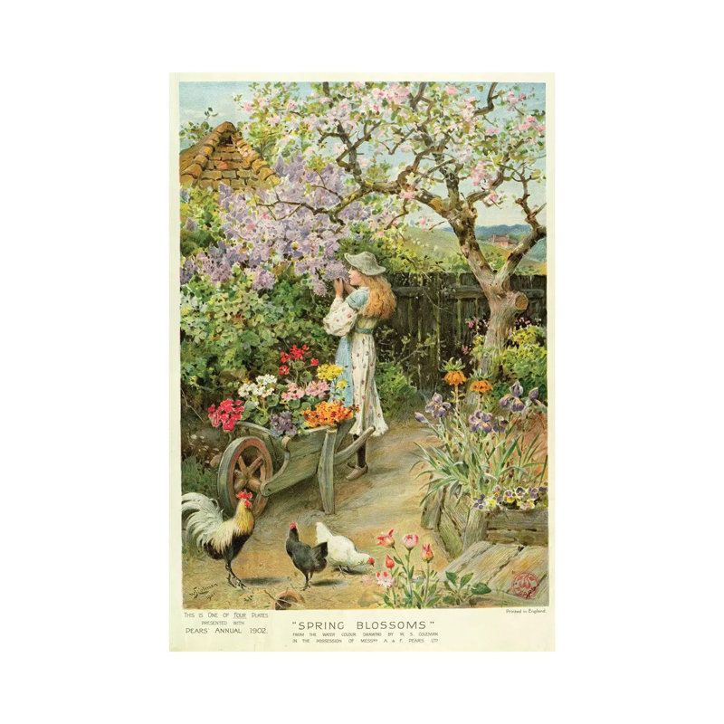 Spring Blossoms, From The Pears Annual by William Stephen Coleman - Wrapped Canvas Painting, 20.32 cm H x 30.48 cm W