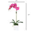 Orchid Arrangement In Vase-1326828205-1326828206