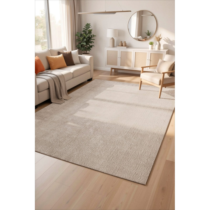 Taeler Washable Modern Living Room Rug Polyester - Anti-Slip Felt Backing SuperSoft Carpet, Dark Beige, Rectangle 50 x 80 cm