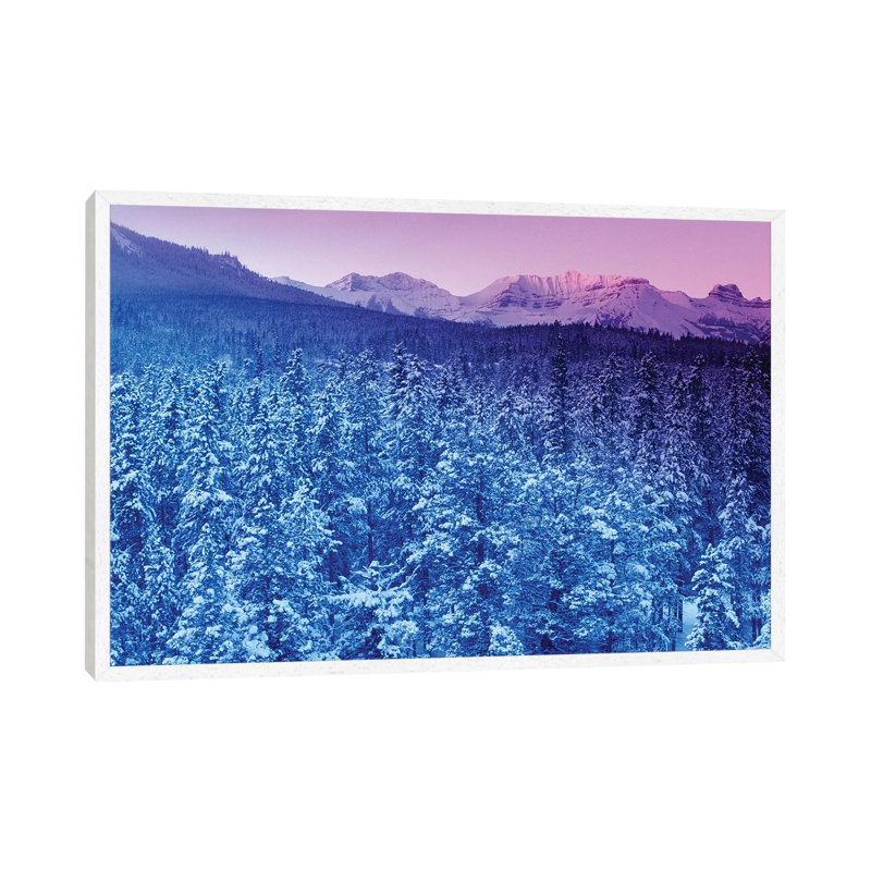 Landscape With Evergreen Forest In Winter And Mountains In Background At Sunset by Panoramic Images - Gallery-Wrapped Canvas Giclée on Canvas