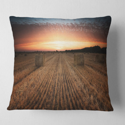 Throw Pillow