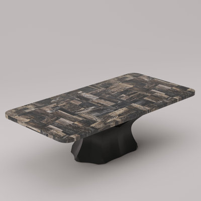 Ailani Petrified Wood Coffee Table
