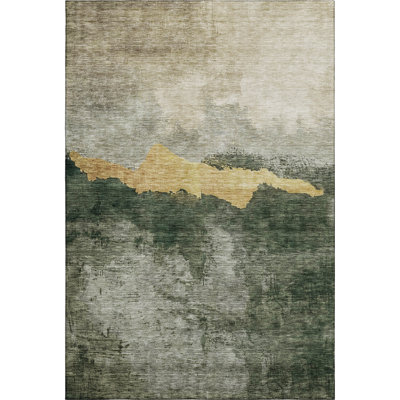 Premium Machine Washable Ducote AMF1069 Modern Rug