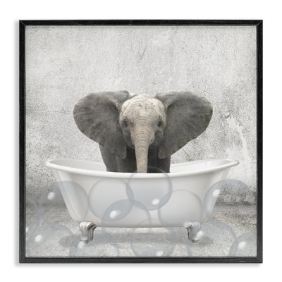 Bébé éléphant à l'heure du bain