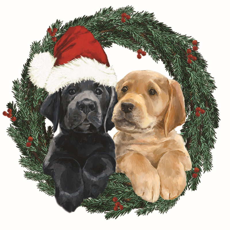 Puppies Wreath Santa - Wrapped Canvas Print, 51cm H x 51cm W