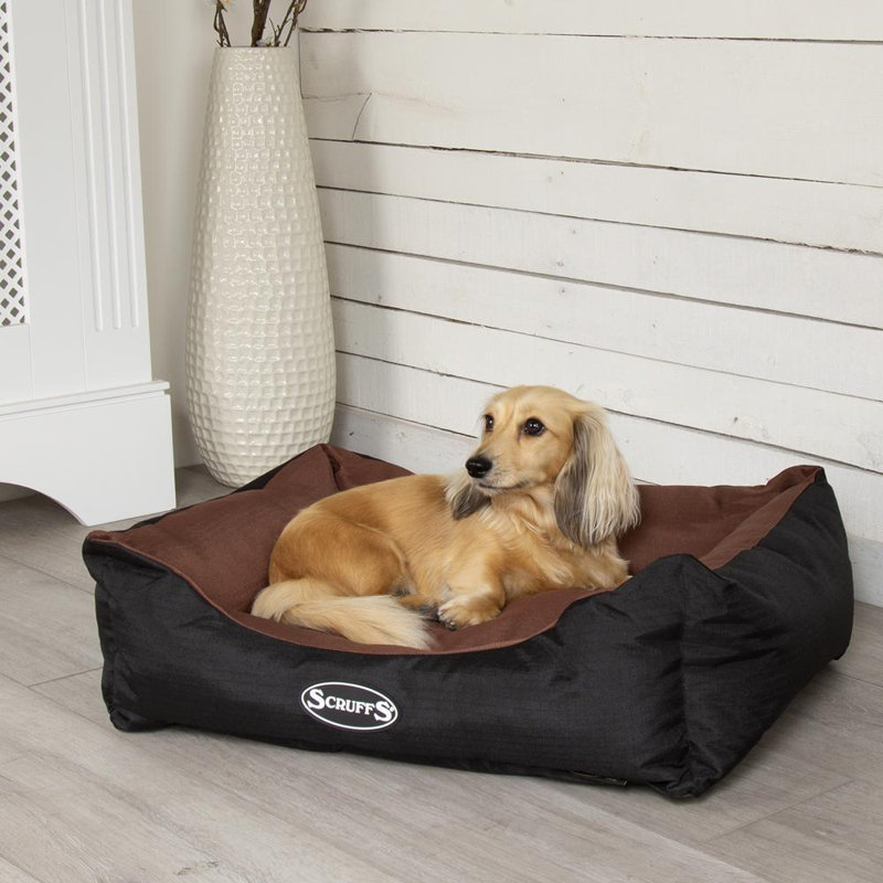 Expedition Polyester Pet Bed, 16cm H x 60cm W x 50cmD, Chocolate