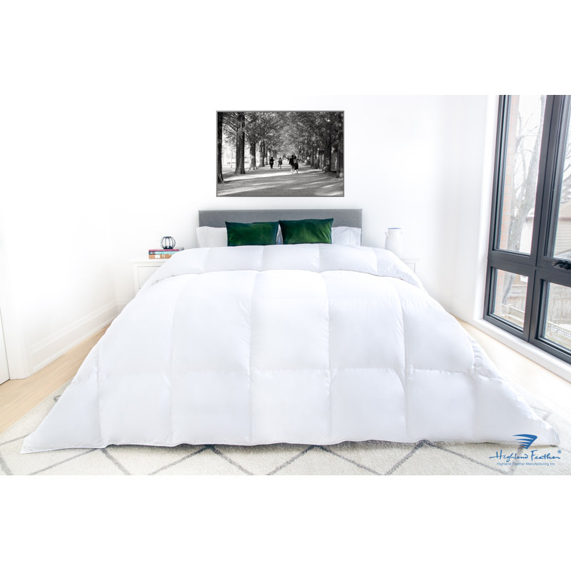 Édredon en duvet d'oie blanche 500TC 725, Simple