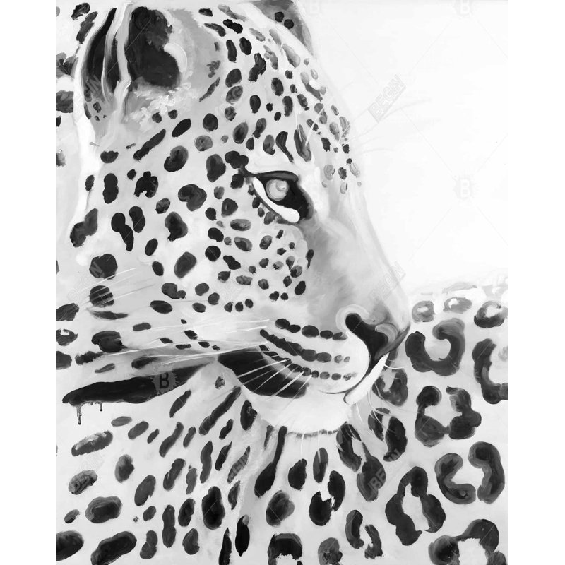 Beautiful Leopard Print On Canvas