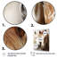 «Blaike White and Brown Horse Dynamic Duo V», reproduction sur toile-808241749-808241750
