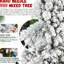 Arbre de Noël floqué de 4 pi, 350 pointes et mélange d'aiguilles dures, installation à charnières, base stable, parfait pour les célébrations Conception recouverte de neige réaliste de 48 pouces, branches branchées, système d'installation facile, support en métal