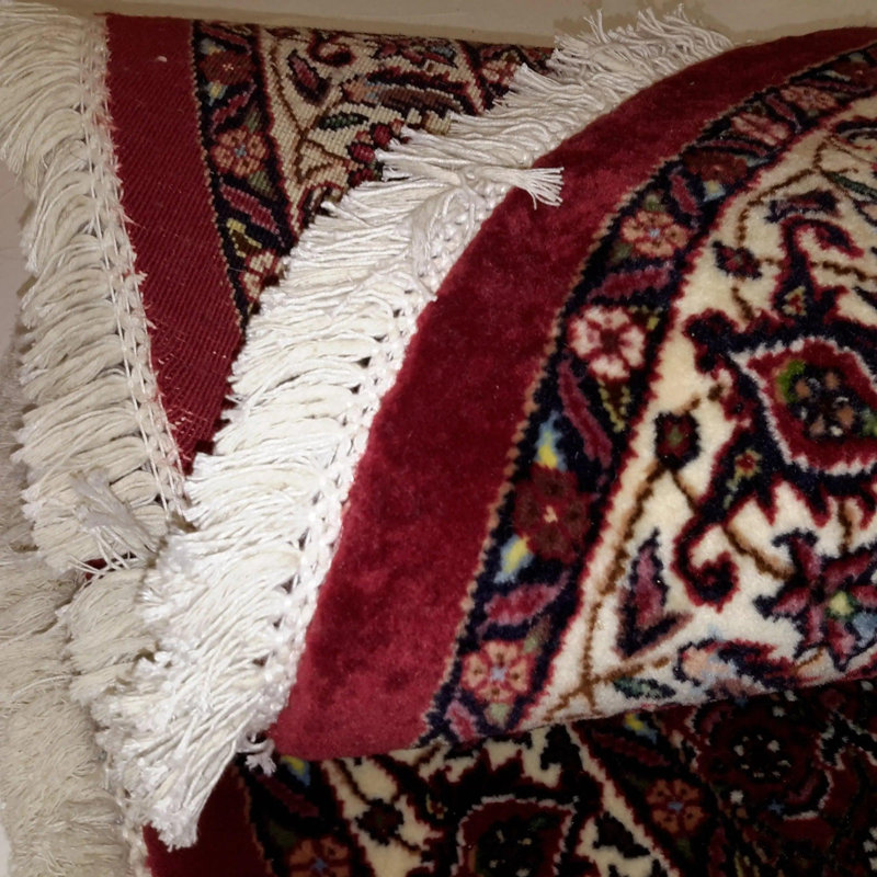 Katalynna Oriental Area Rug in Red