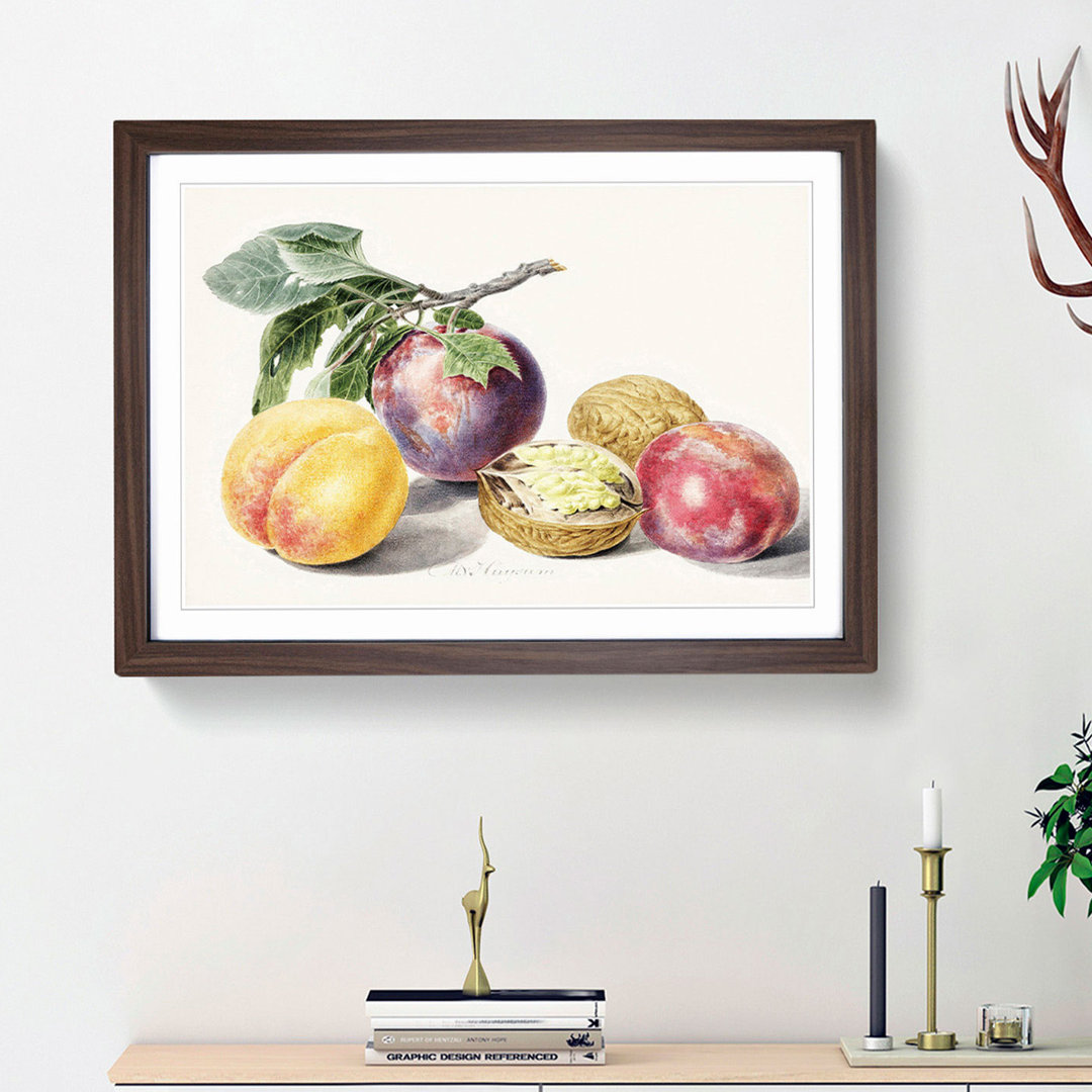 Peaches by Michiel Van Huysum - Picture Frame Painting Print