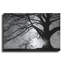 Winston Porter «Oak Silhouette» par Photoinc Studio, art mural en métal, 24 po x 16 po-2122987105