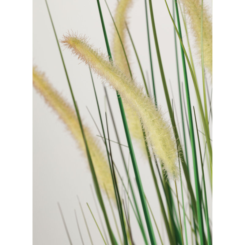 Faux Dogtail Grass in Pot, 38" H x 10" W x 10" D