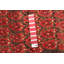 Tapis rouge Eyan 4 pi 6 po x 6 pi 5 po