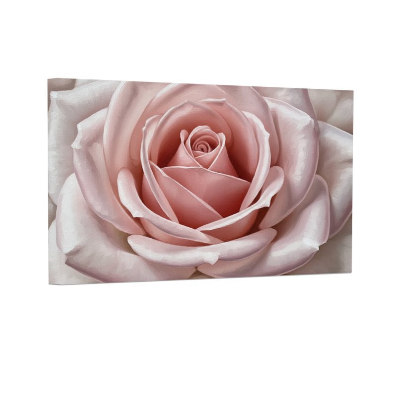 Plantes et fleurs, rose, gros plan, motif floral, H 12 po x l 18 po