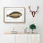 Sole Fish by M.E. Bloch - Picture Frame Painting Print-55725936-55725938