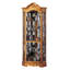Branscum Lighted Curio Cabinet