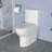 Rainlex RX-T23W One-piece Toilet