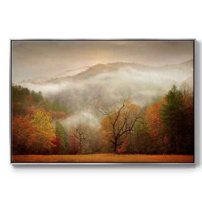 " Photography Study Autumn Mist "