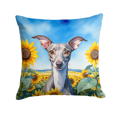 Coussin décoratif intérieur / extérieur Autre / Sans motif