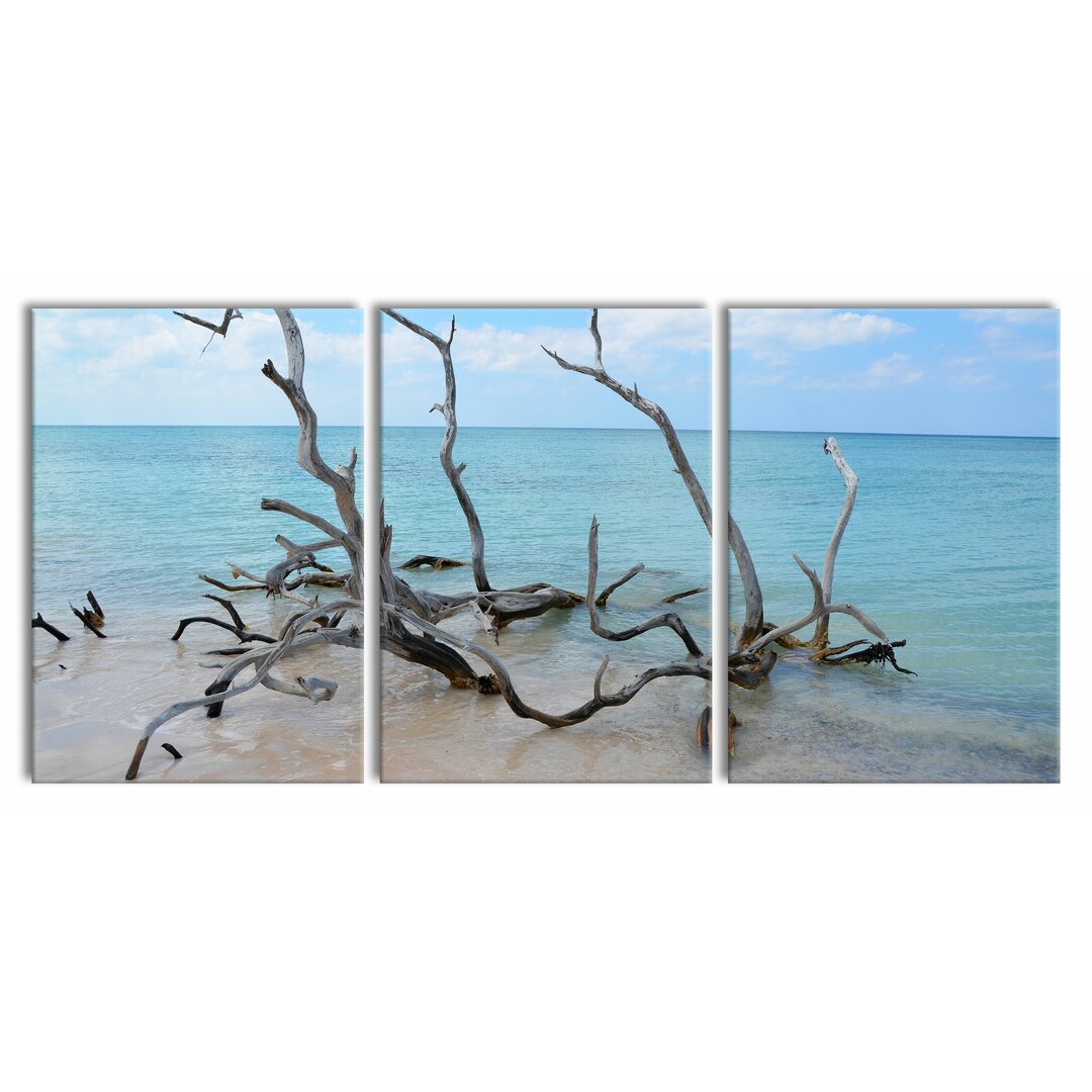 3-tlg. Leinwandbilder-Set Beach with Driftwood in Cuba