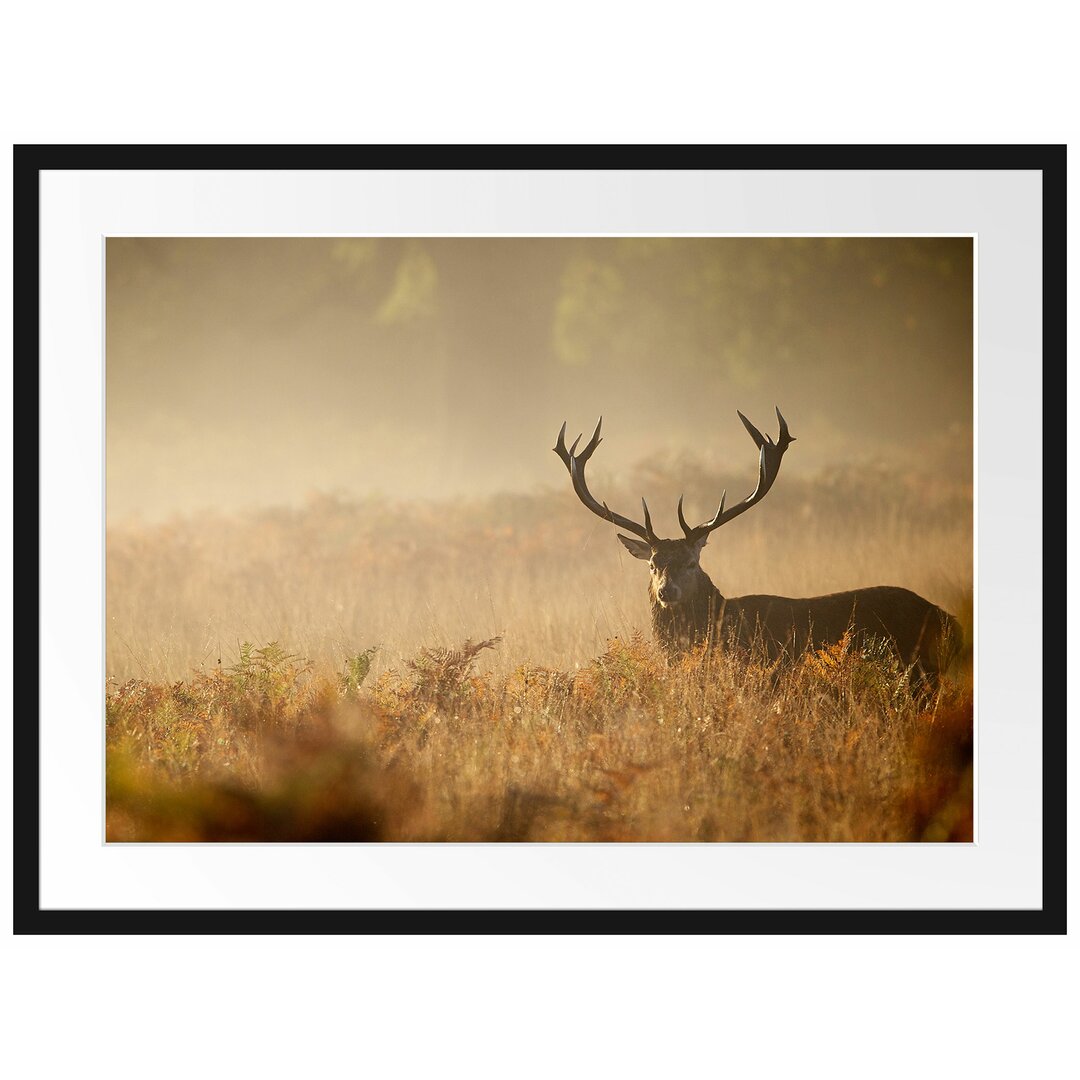 Gerahmtes Papierbild Rotwild Hirsch im Nebel